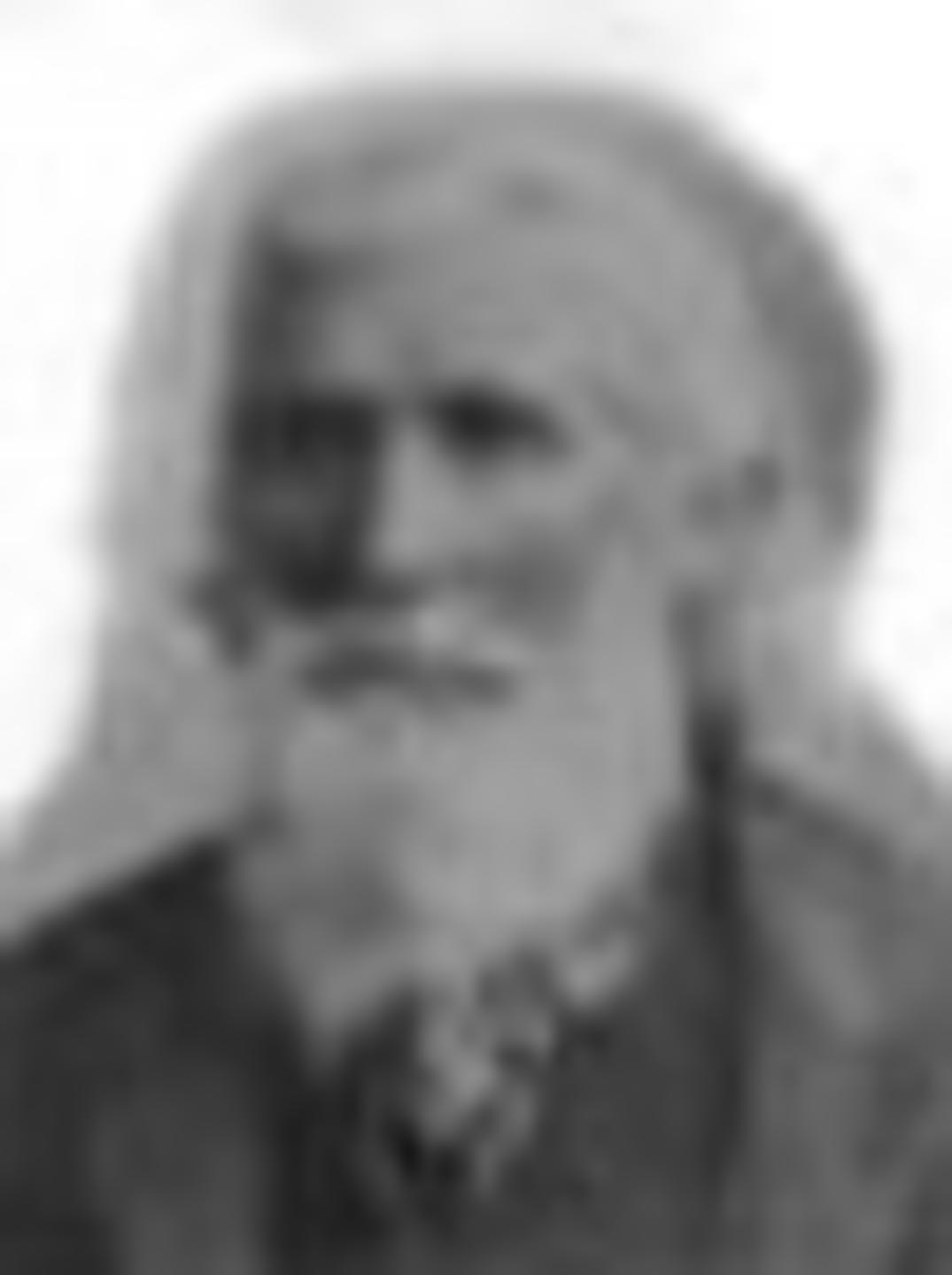 Robert Homes (1816 - 1908) Profile